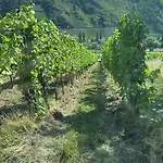 Ferienweingut Willwert-gaestehaus Lydia Apartman