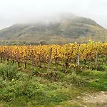 Ferienweingut Willwert-gaestehaus Lydia *