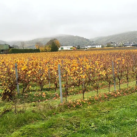 דירה Ferienweingut Willwert Ensch