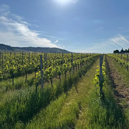 Apartmán Ferienweingut Willwert *