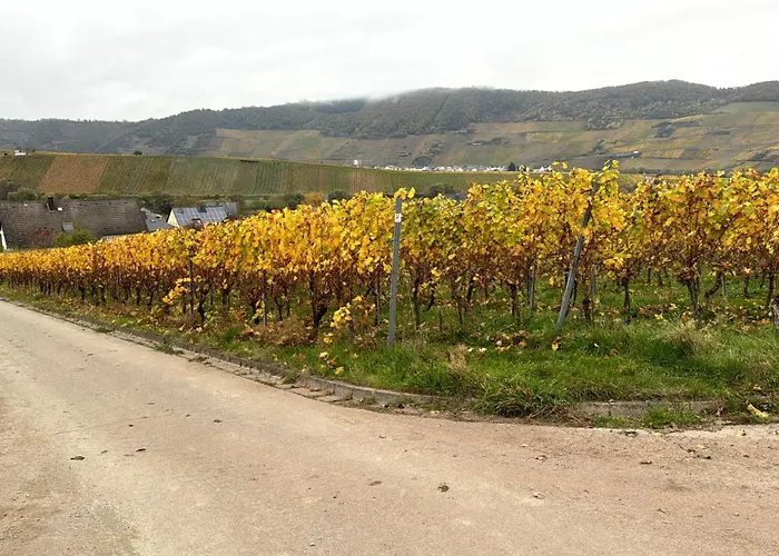 Gaestehaus Lydia * Ensch