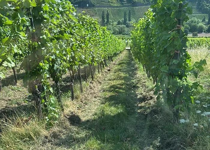 Gaestehaus Lydia Apartamento