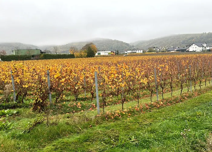 Apartamento Gaestehaus Lydia Ensch