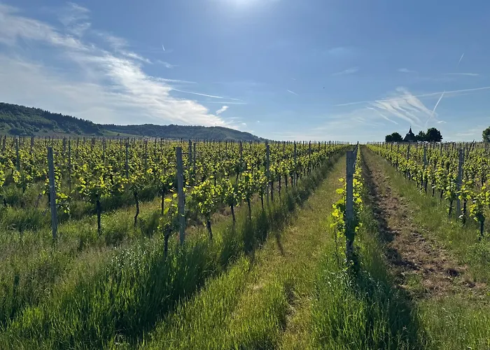 Apartamento Gaestehaus Lydia *